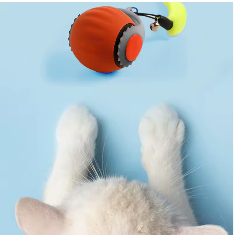 Kattbollen